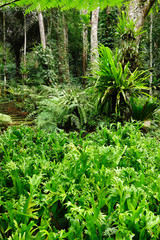 Details of the nature for background 