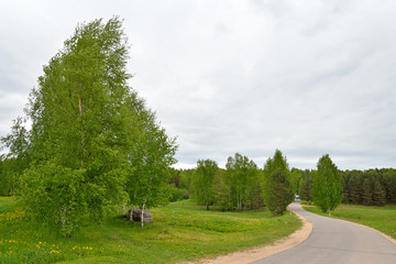 Russian landscape with road, trees and grass on a cloudy day on the territory of the state Museum-reserve of A. S. Pushkin - Petrovskoe