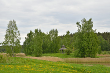 Russian landscape: trees and grass on a cloudy day on the territory of the state Museum-reserve of A. S. Pushkin - Petrovskoe