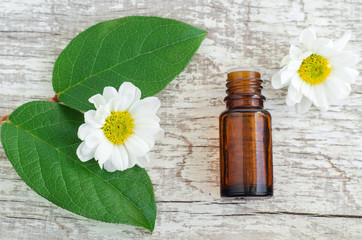 Small bottle of essential oil, fresh leaves and chamomile flowers over wooden background. Top view, copy space. Aromatherapy and spa concept. 