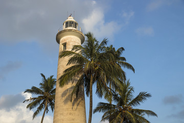 Lighthouse in Galle with palm trees, Sri Lanka