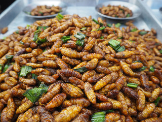 Close-up of fried bamboo worms for sale