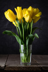 Bouquet of beautiful fresh yellow tulips in dew on dark background