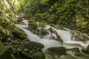 L'Alloix - Chartreuse - Isère - Grenoble.