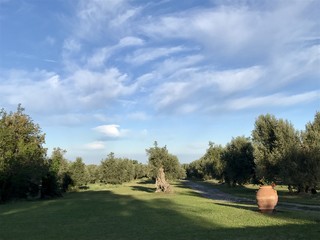 Contrast of blue and green