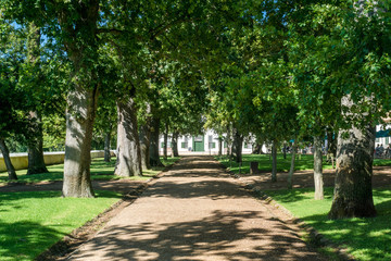 Fototapeta premium Allee beim Weingut Groot Constantia nahe Kapstadt