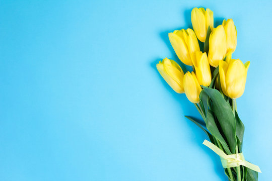Fototapeta Bouquet of beautiful fresh yellow tulips on blue background