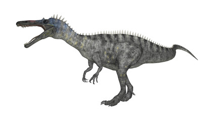 3D Rendering Dinosaur Suchomimus on White