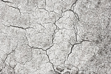 White paint dry cracks grunge distressed pattern.