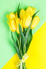 Bouquet of beautiful fresh yellow tulips on yellow and green background background
