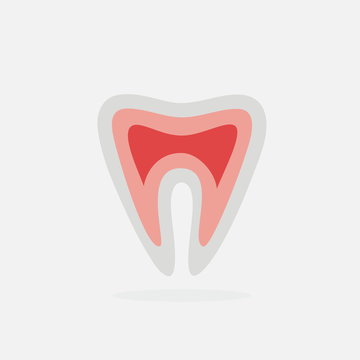Tooth vector illustration