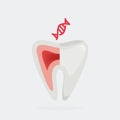 Tooth vector illustration