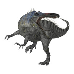 3D Rendering Dinosaur Suchomimus on White