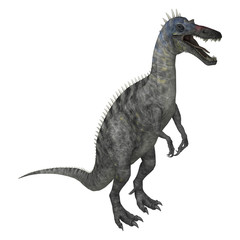 3D Rendering Dinosaur Suchomimus on White