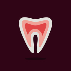 Tooth vector illustration