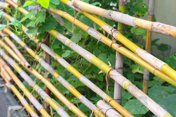 bamboo fences in garden  agricultural countryside