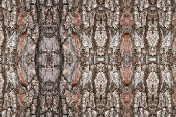 tree bark texture pattern. wood rind for background