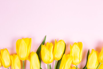 Bouquet of beautiful fresh yellow tulips on pink background