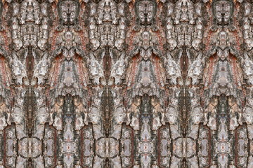 tree bark texture pattern. wood rind for background