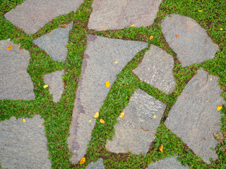 Old stone pavement with green grass
