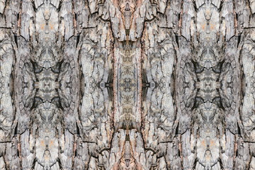 tree bark texture pattern. wood rind for background