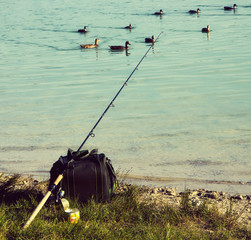 fishing at lake and swimming ducks