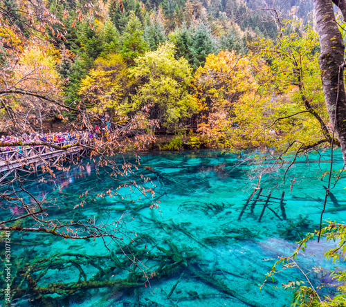 Lake With Submerged Tree Trunks Jiuzhaigou Valley Was Recognize By