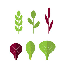 Green leaves icons. Nature ECO organic. Green leaves logo set