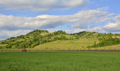 The late April rural landscape around the north eastern Italian village of Dolegna del Collio.
