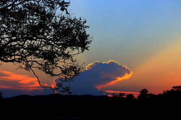 Naklejka na ściany i meble silhouette tree and sunset beautiful colorful landscape in sky twilight time