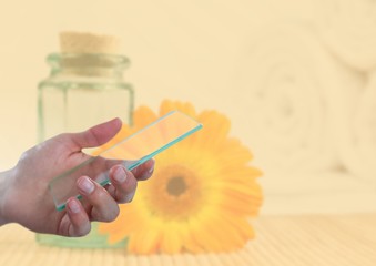 Hand holding glass screen next to sunflower and jar