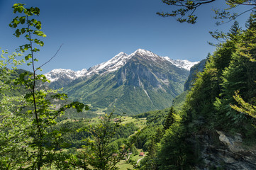 Green meadow on snow covered mountains background at Swiss Alps, Switzerland