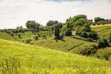 Fototapeta premium Tuscan countryside between ancient villages and green hills, in the Etruscan castagneto carducii and bolgheri coast