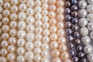 Pearls