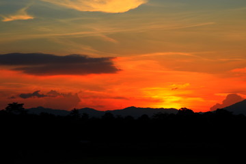 Fototapeta premium sunset beautiful and silhouette mountain tree woodland colorful landscape in sky twilight time