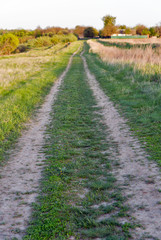 Fototapeta na wymiar Landscape with straight rural dirt road in field