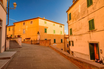 Panorama of chestnut Carducci in the Etruscan coast of tuscany in italy