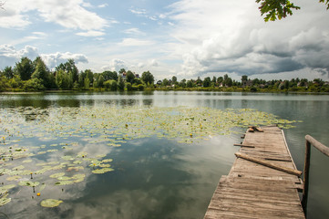 Pond with yellow pods