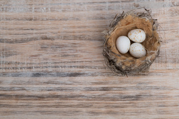 Bird nest with three speckled eggs on timber background