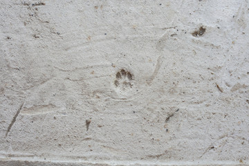cement floor texture