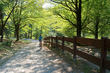 Young guy rides a bicycle in picturesque places