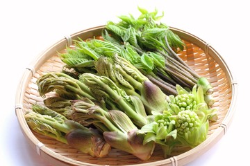 山菜の盛り合わせ（タラの芽、コシアブラ、フキノトウ）