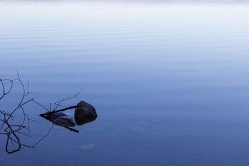 Ein Stein in einem See. © Markus