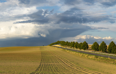 Obraz premium Storm over the autumn field