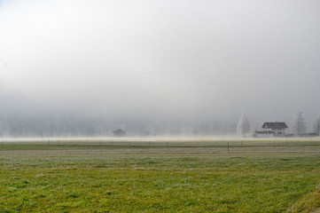 Country farm in the foggy morning.