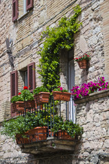 Fototapeta na wymiar Flowering Balcony in Assisi, Italy