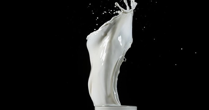 Milk Splatching against Black Background, slow motion 4K