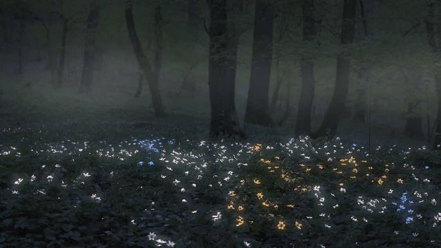 Night magic forest with saturated anemones. Colorful phosphoresce flower. Mysterious mystical fairy-tale atmosphere. Glowing, shining plants in dark forest. Low depth of field. 