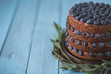 chocolate layered cake with blueberries with chocolate cream on a blue wooden background in a brown ceramic plate close-up copyspace