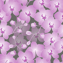 Seamless vector floral pattern. Tropical exotic flowers orchids in monochrome versions.